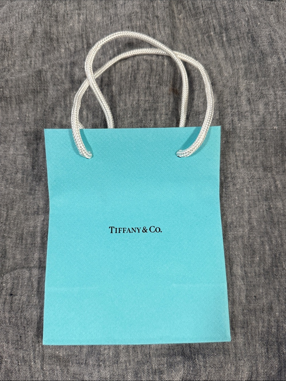 Tiffany & Co. Robin's Egg Blue Shopping bag - Small - with White Rope Handles